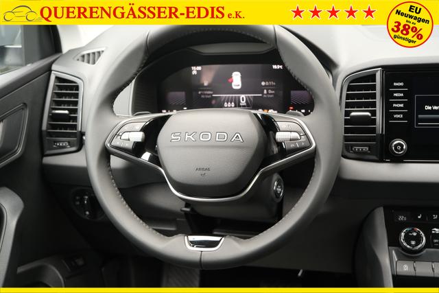 Skoda Karoq TDI DSG Graphite Grau 