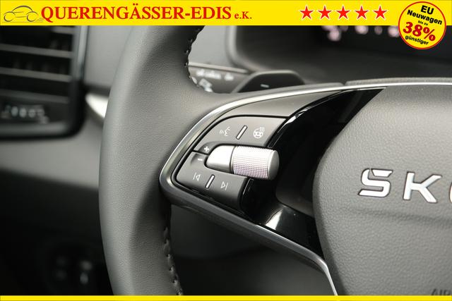 Skoda Karoq TDI DSG Graphite Grau 