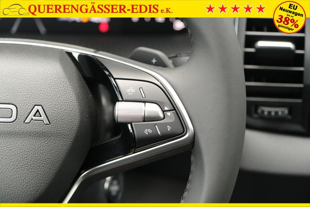 Skoda Karoq TDI DSG Graphite Grau 