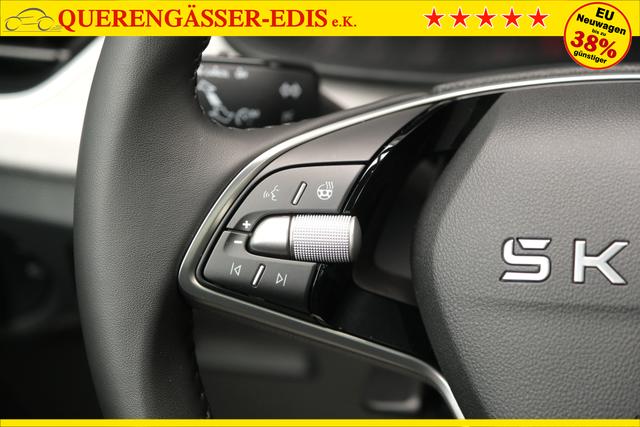 Skoda Kamiq Top Selection Graphite Grau Metallic 