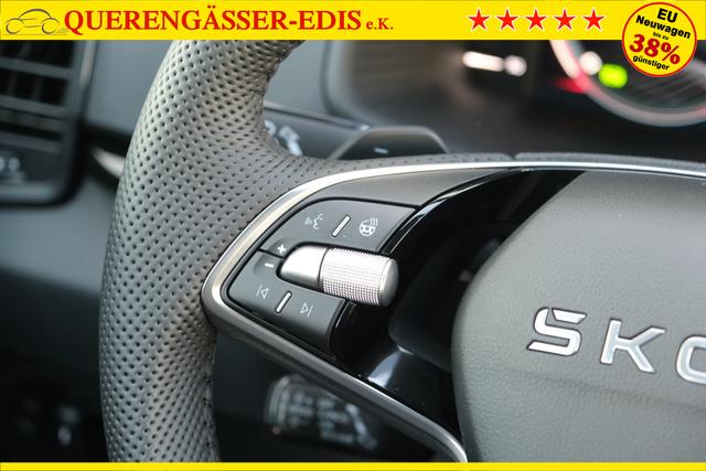 Skoda Karoq Sportline Stahl Grau 