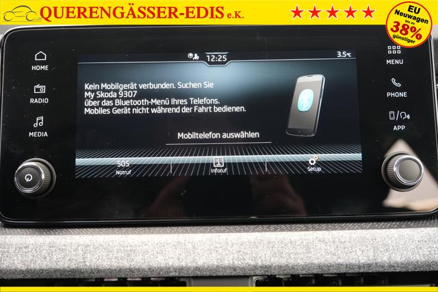 Skoda Scala Graphite Grau 