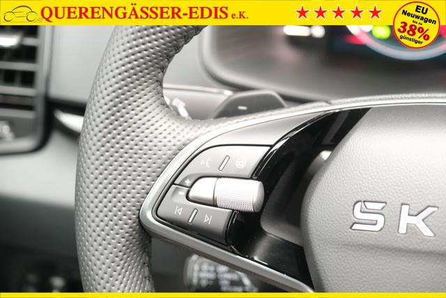 Skoda Karoq Sportline Graphite Grau 