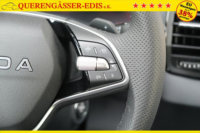 Skoda Karoq Sportline Graphite Grau 