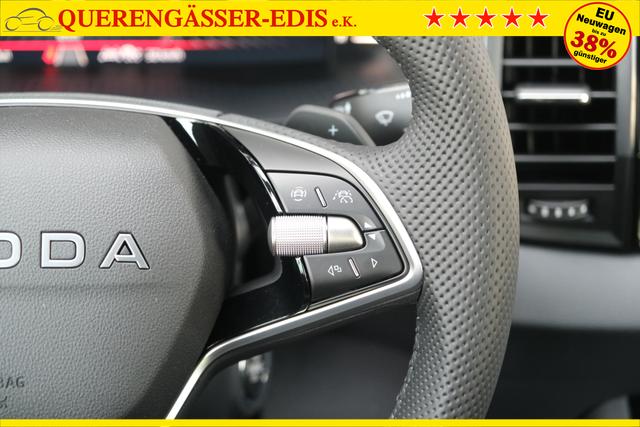 Skoda Karoq 1.5 TSI DSG Sportline AHK Matrix Assistenzpaket Plus Kamera 