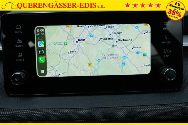 Skoda Fabia Selection Grau 