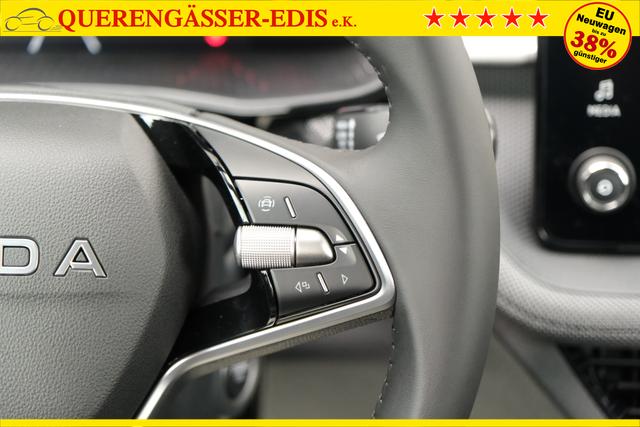 Skoda Fabia Selection Grau 