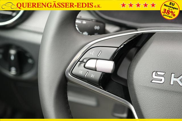 Skoda Fabia Selection Grau 
