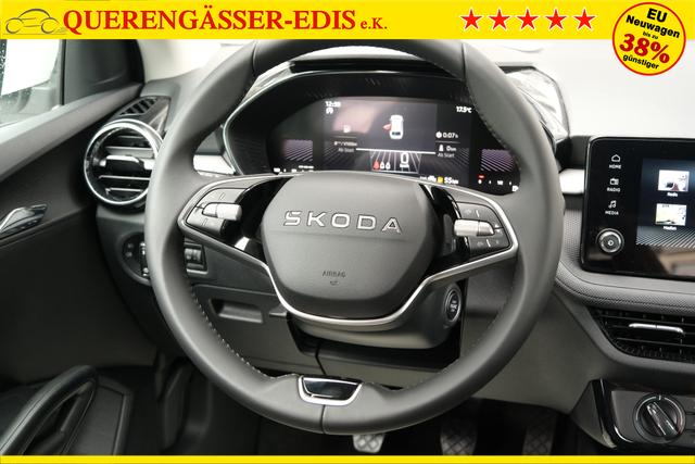 Skoda Fabia Selection Grau 