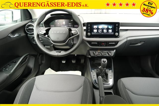 Skoda Fabia Selection Grau 