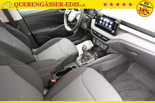 Skoda Fabia Selection Grau 