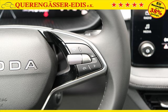 Skoda Fabia Selection Smokey Diamond Silber Metallic 