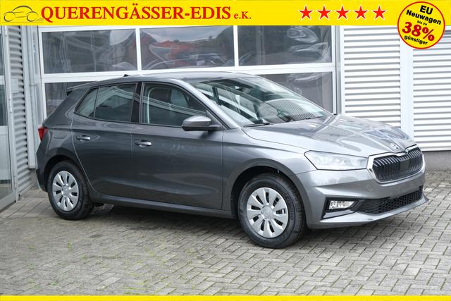 Skoda Fabia Selection Grau 