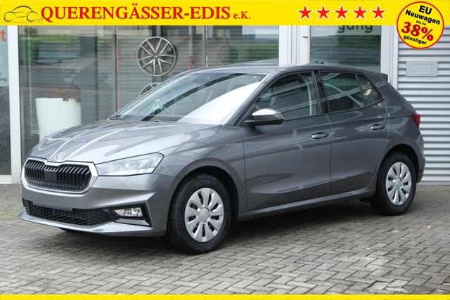 Skoda Fabia Selection Grau 