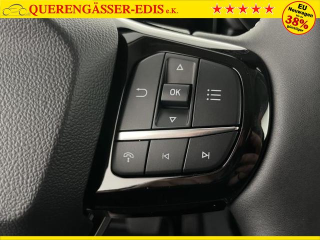 Ford Puma Titanium (Titanium) 1.0 EcoBoost MHEV 92kW (125 PS) 7-Gang-PowerShift Automatikgetriebe 
