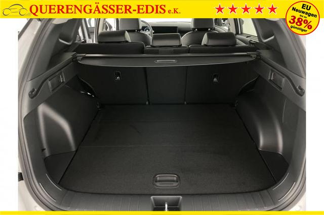 Hyundai TUCSON Premium MJ25 (Premium) 1.6 T-GDI 48V-Hybrid 118kW (160 PS) 7-Gang DCT 