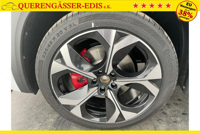 Skoda Kodiaq RS 7-Sitzer 2.0 TSI 195kW (265 PS) 4x4 7-Gang DSG 