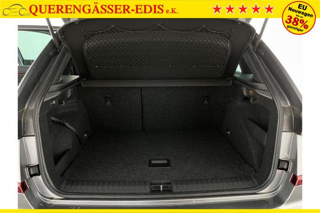 Skoda Kamiq Monte Carlo (Monte Carlo) 1.0 TSI 85 KW (116 PS) 7-Gang DSG 