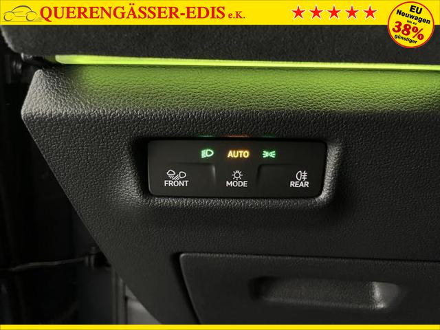 Volkswagen Tayron R-Line Edition (R-Line Edition) 2.0 TDI 4MOTION 142kW (193 PS) 7-Gang-DSG 