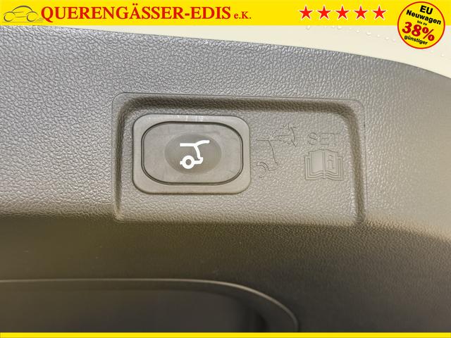 Ford Puma ST-Line Cactus Grau