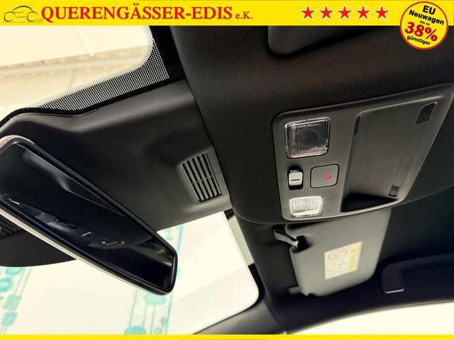 Ford Puma ST-Line Cactus Grau