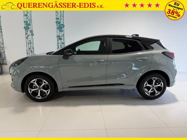 Ford Puma ST-Line Cactus Grau Dach Schwarz