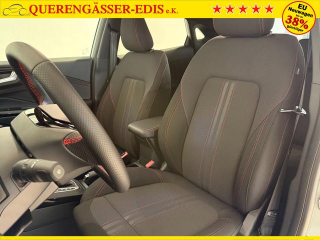 Ford Puma ST-Line Cactus Grau Dach Schwarz