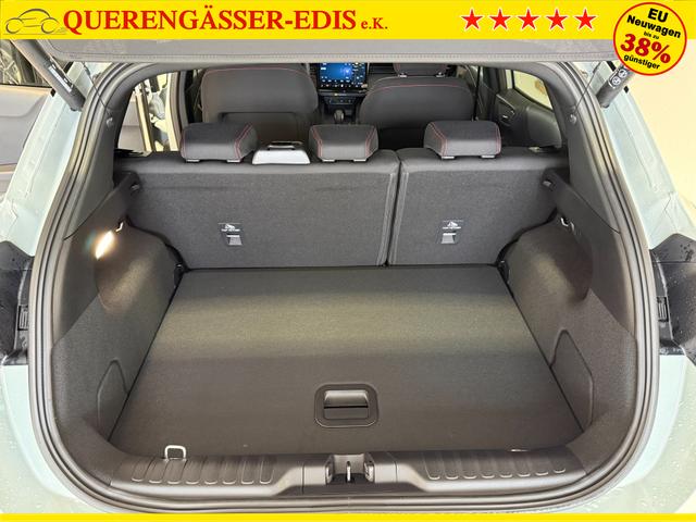 Ford Puma ST-Line Cactus Grau Dach Schwarz