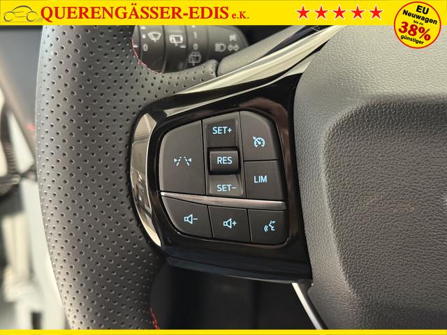 Ford Puma ST-Line Cactus Grau Dach Schwarz