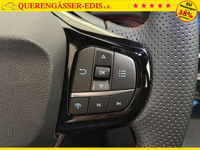 Ford Puma ST-Line Cactus Grau Dach Schwarz