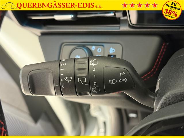 Ford Puma ST-Line Cactus Grau Dach Schwarz