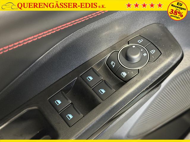 Ford Puma ST-Line Cactus Grau Dach Schwarz