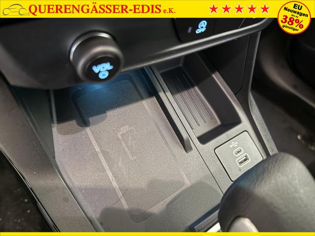 Ford Puma ST-Line Cactus Grau Dach Schwarz