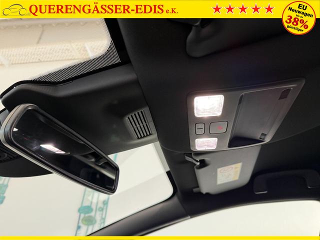 Ford Puma ST-Line Cactus Grau Dach Schwarz