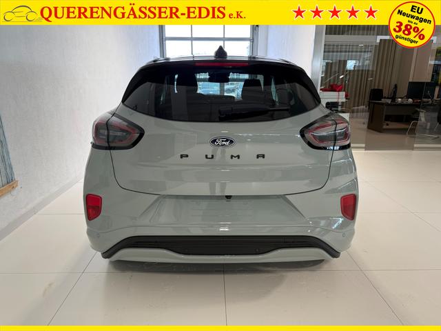 Ford Puma ST-Line Cactus Grau Dach Schwarz