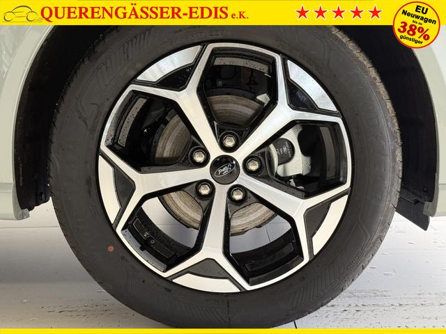 Ford Puma ST-Line Cactus Grau Dach Schwarz