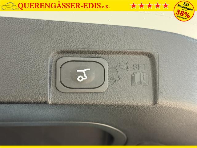 Ford Puma ST-Line Cactus Grau Dach Schwarz