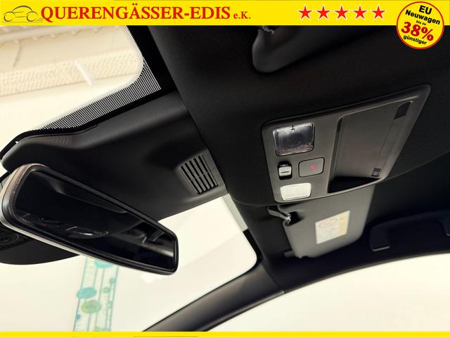 Ford Puma ST-Line Solar Silber Dach Schwarz