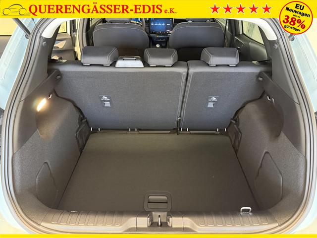 Ford Puma Titanium Cactus Grau
