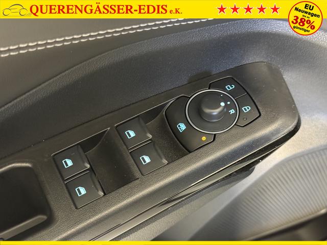 Ford Puma Titanium Cactus Grau
