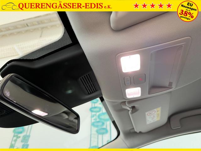 Ford Puma Titanium Cactus Grau