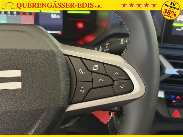 Dacia Bigster Zeder Gruen
