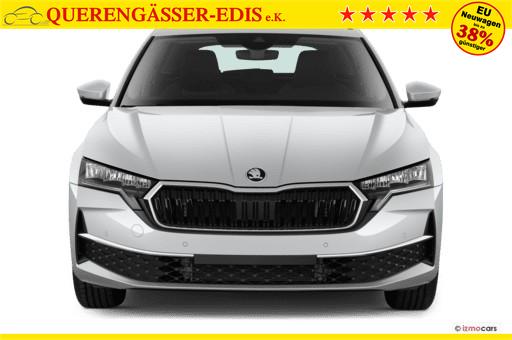 Skoda Octavia Combi 2.0 TDI DPF Selection Winterpaket + beheiz. Windschutzscheibe 