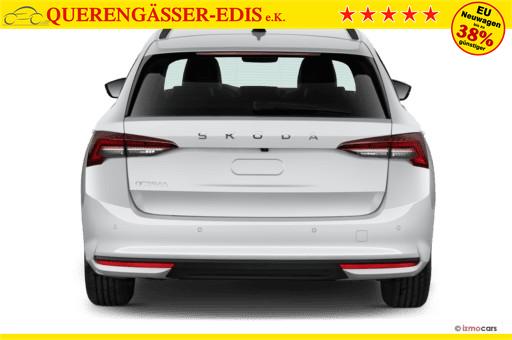 Skoda Octavia Combi 2.0 TDI DPF Selection Winterpaket + beheiz. Windschutzscheibe 