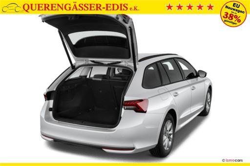 Skoda Octavia Combi 2.0 TDI DPF Selection Winterpaket + beheiz. Windschutzscheibe 