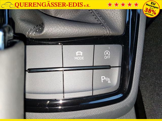 Skoda / Kamiq / Grau / Monte Carlo / / , Beispielbilder, ggf. teilweise mit Sonderausstattung