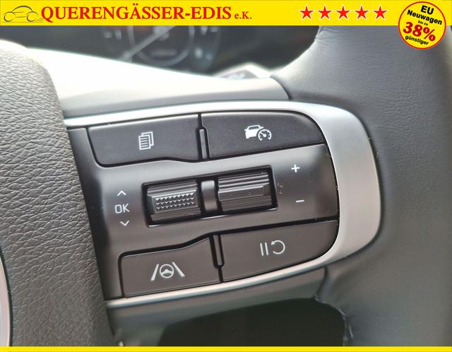 Kia / Sportage / Grün / Edition 30 / / , Beispielbilder, ggf. teilweise mit Sonderausstattung