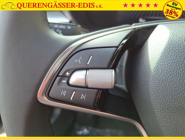 Skoda / Fabia / Grau / 130 Jahre / / , Beispielbilder, ggf. teilweise mit Sonderausstattung