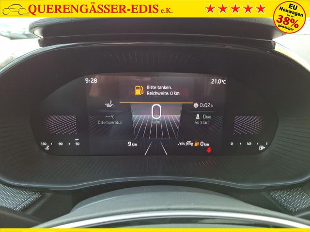 Skoda / Fabia / Grau / 130 Jahre / / , Beispielbilder, ggf. teilweise mit Sonderausstattung