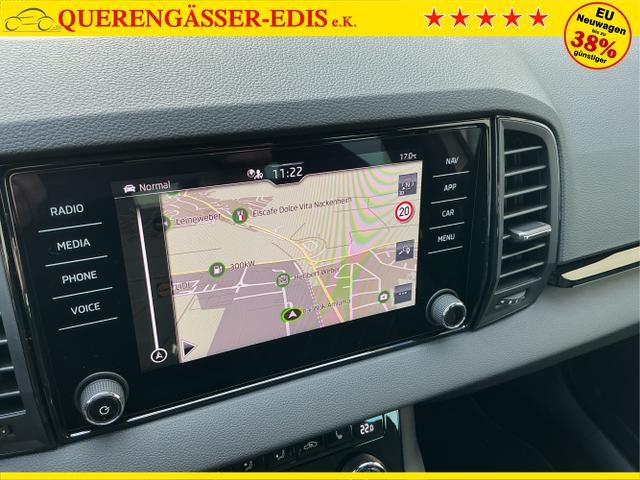 Skoda / Karoq / Grau / Sportline / Graphite Grau / , Beispielbilder, ggf. teilweise mit Sonderausstattung